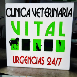 imagen44 imagen44
